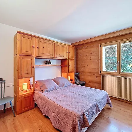 公寓 La Clusaz, 6 Pers, Centre Avec Wifi - Fr-1-818-33 拉克吕萨